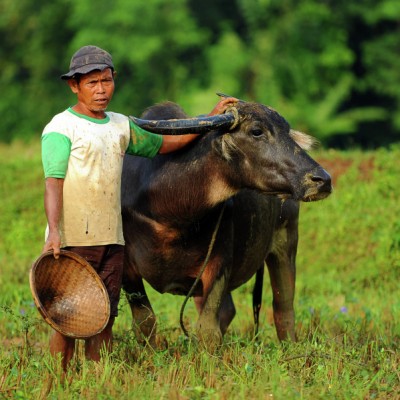 Me and my buffalo