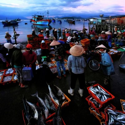 An_Early_Moring_in_Fishing_Market