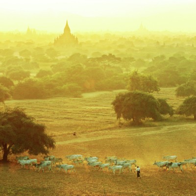 Bagan