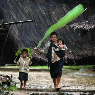 Under the rain