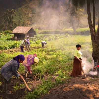 Tenggerese Farmer