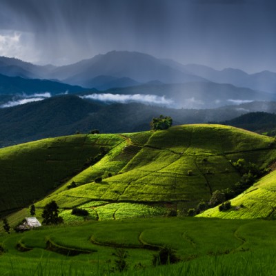 Rainy with the green world