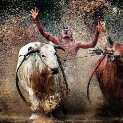 Sukacita di akhir acara Pacu Jawi....