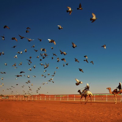 Camel and Doves