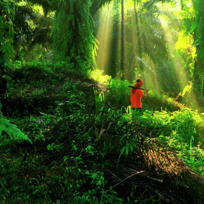 Pekerja Ladang