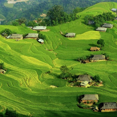 Terraces in afternoon