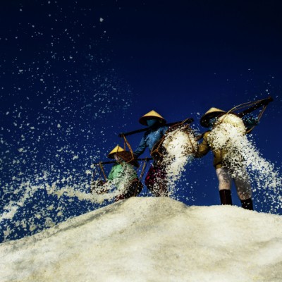 Salt harvesting