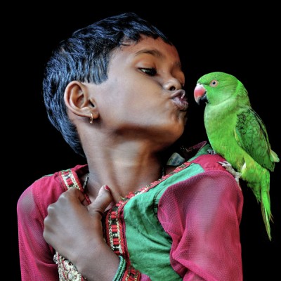 Love Birds