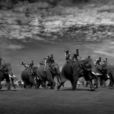 Elephant racing