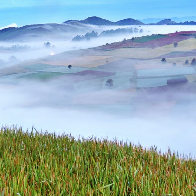 Foggy Land