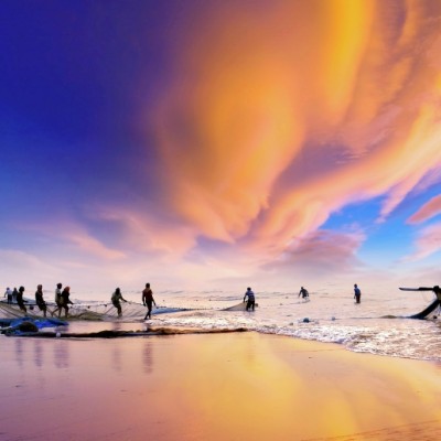 The Sea Creatures