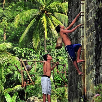Membawa hasil kebun