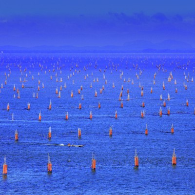 In the sea