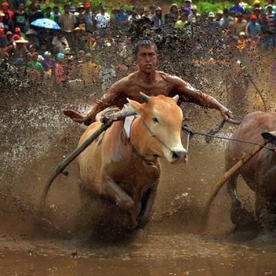 Rock in the mud