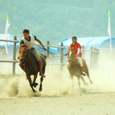joki cilik from gayo highland