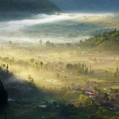 Foggy Morning