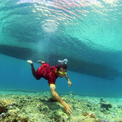 Harvesting sea cucumber