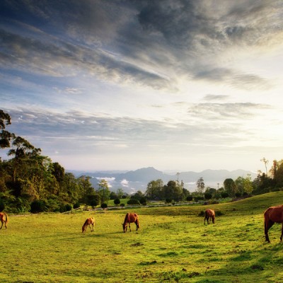 Borneo Highland Sarawak Malaysia