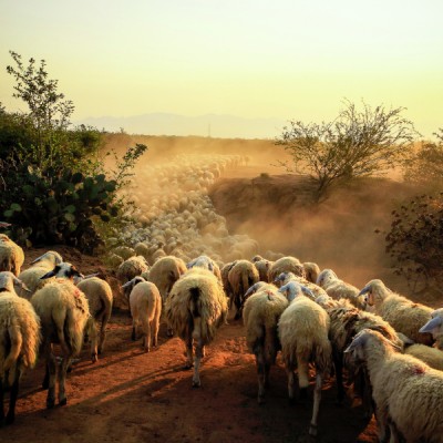 Rush Hour