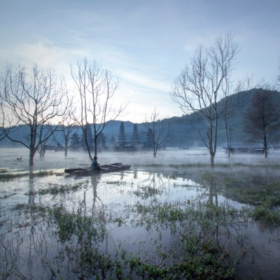 Tamblingan misty