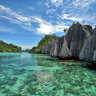 alam papua