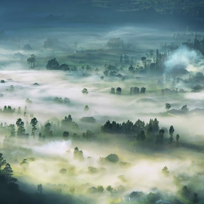 Foggy Morning