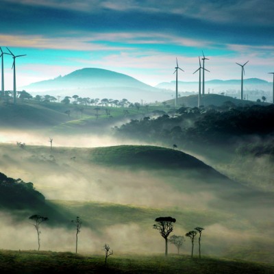 Morning Fog at Ambewela