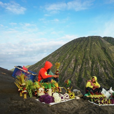 Penjual Bunga Edelweis