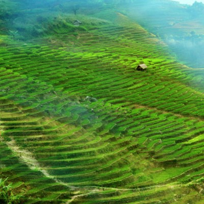 Bac Thang Ngoc linh