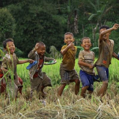 Cheerful in the fields