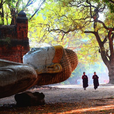 Buddha and Sons
