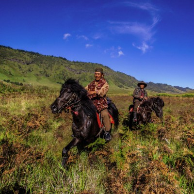 Perjalanan di Savana