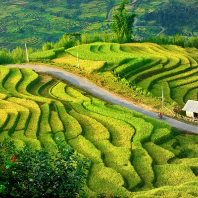 The way
