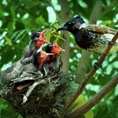 Motherly love