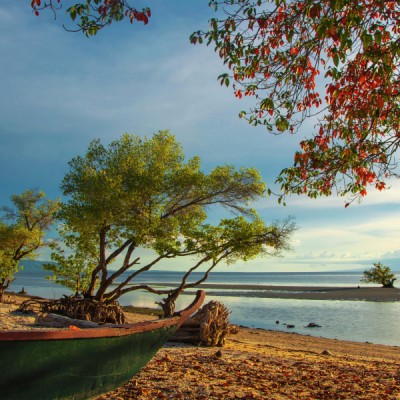 Lonely Beach Springtime