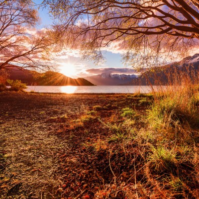spring sun