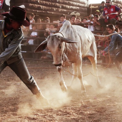 Chase me if you can!