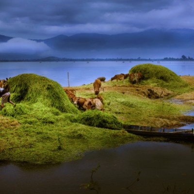 Life on the little land-strip....