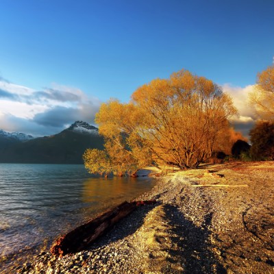 nature