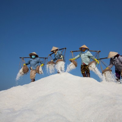 Salt harvest day