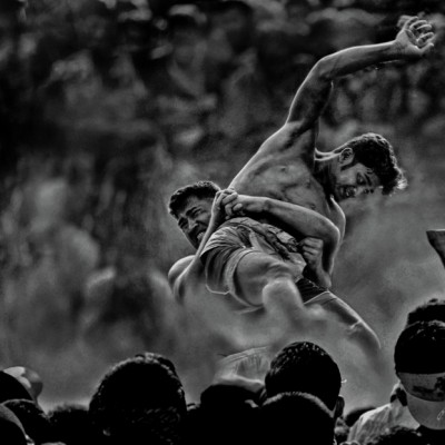 A glimpse of chivalry