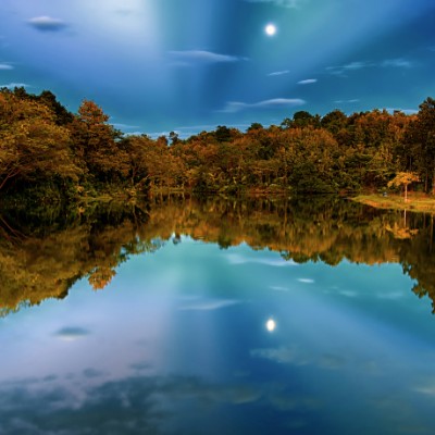 Reflection