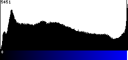 Blue Histogram