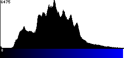 Blue Histogram