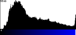 Blue Histogram