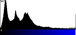 Blue Histogram