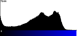 Blue Histogram