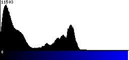 Blue Histogram