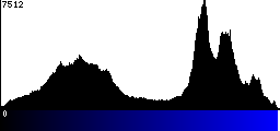 Blue Histogram
