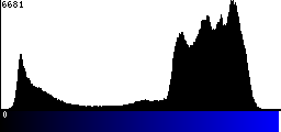 Blue Histogram